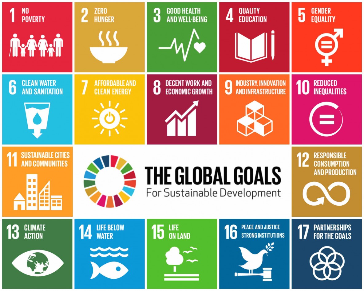 SDGs-GlobalGoalsForSustainableDevelopment-05-small-1184x948